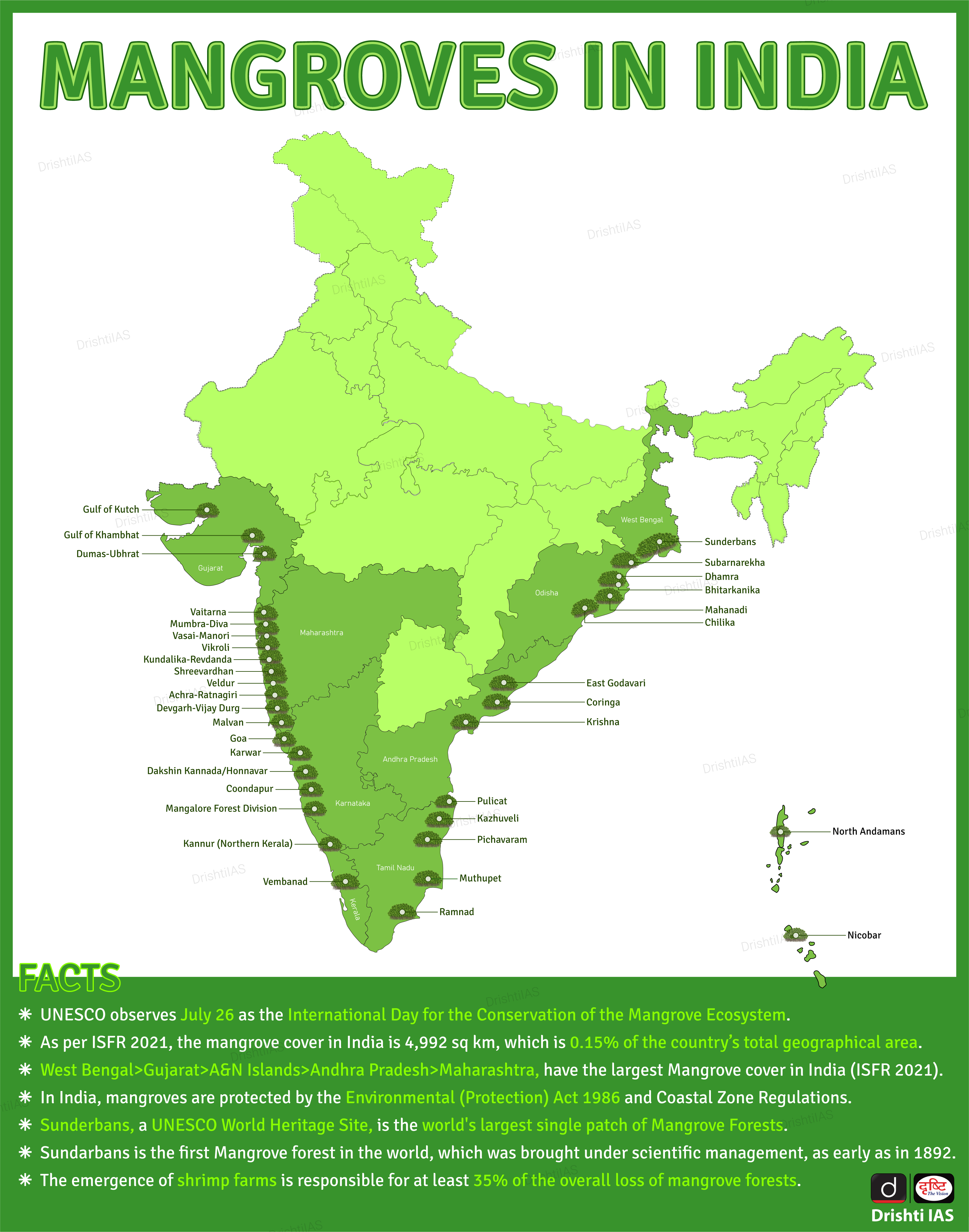 Mangroves In India 27 Sep 2022